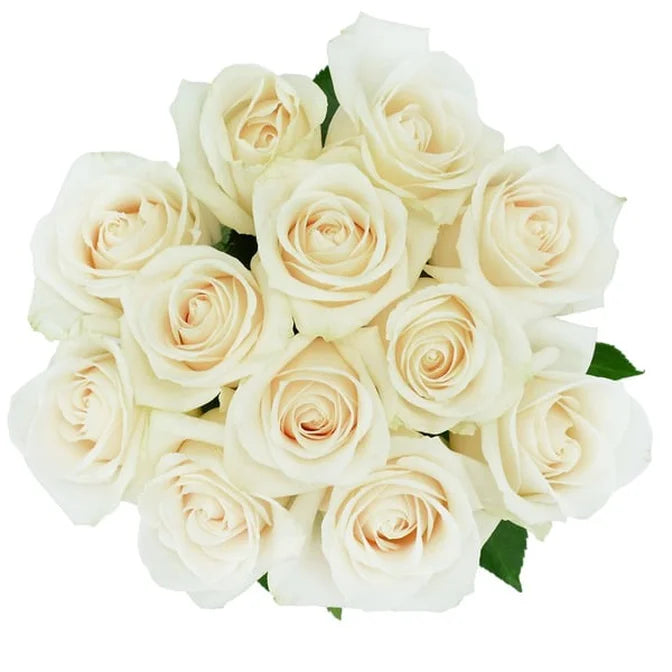 12 Stem Fresh Roses