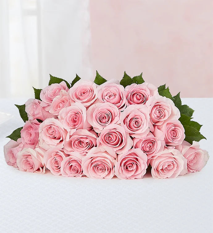 24 Stem Fresh Roses