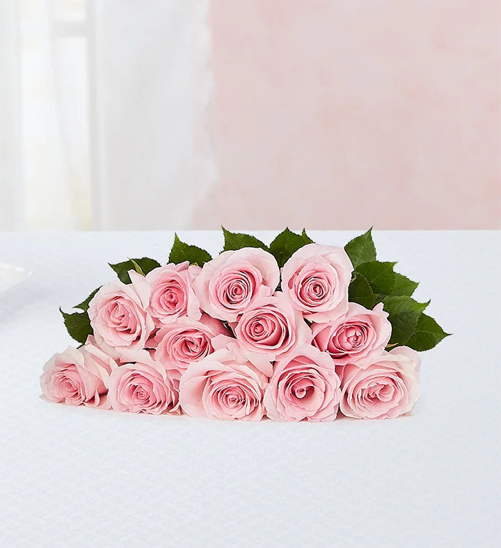 12 Stem Fresh Roses